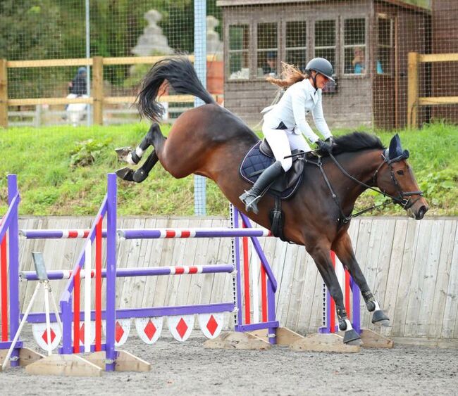 Talented 8 yr old Show Jumping Mare, lucie Lindsay, Konie na sprzedaż, Pooksgreen