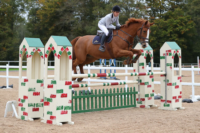 Talented show jumping/ hunter, lucie Lindsay, Konie na sprzedaż, Pooksgreen, Image 13