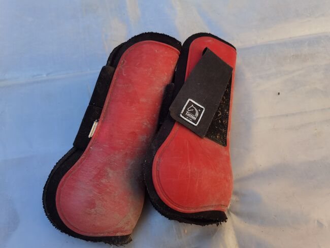 Tattini Gamaschen, Sendy, Tendon Boots, Bad Sulza , Image 2