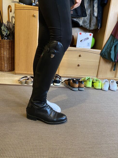 Tattini Boxer Leder-Reitstiefel, Tattini, Sachsenmaier, Riding Boots, Heuchlingen , Image 3