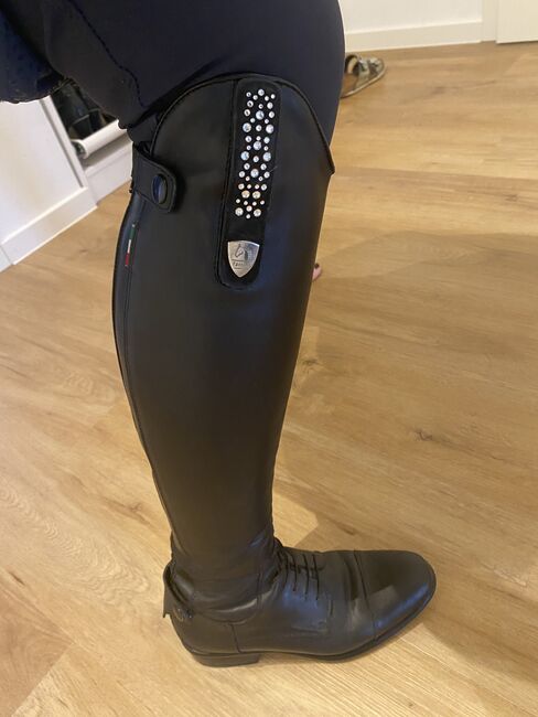 Tattini Reitstiefel Retriever Gr. 38/HH1, Tattini  Retriever, Vanessa Hoffmann, Riding Boots, Ranstadt , Image 8