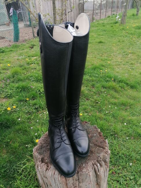 Tattini Reitstiefel Gr 41 NEU, Tattini , Manuela Kramer , Riding Boots, Belgern , Image 11