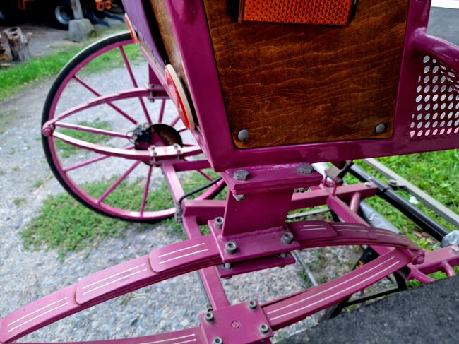 Verkaufe gepflegten großen Burger Gig Sulky Kutsche für Pferde, Burger, Urmeli Urmel, Carriages, Ostelsheim, Image 9