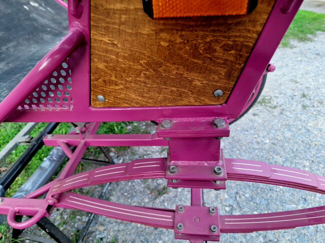 Verkaufe gepflegten großen Burger Gig Sulky Kutsche für Pferde, Burger, Urmeli Urmel, Carriages, Ostelsheim, Image 11