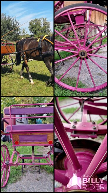 Verkaufe gepflegten großen Burger Gig Sulky Kutsche für Pferde, Burger, Urmeli Urmel, Carriages, Ostelsheim, Image 18