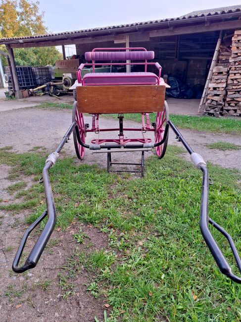 Verkaufe gepflegten großen Burger Gig Sulky Kutsche für Pferde, Burger, Urmeli Urmel, Carriages, Ostelsheim, Image 13