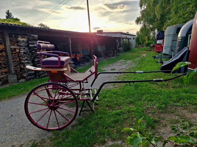 Verkaufe gepflegten großen Burger Gig Sulky Kutsche für Pferde, Burger, Urmeli Urmel, Carriages, Ostelsheim, Image 15