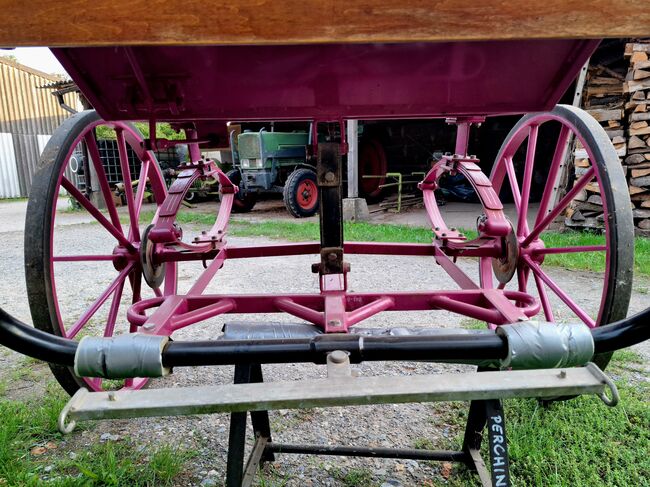 Verkaufe gepflegten großen Burger Gig Sulky Kutsche für Pferde, Burger, Urmeli Urmel, Carriages, Ostelsheim, Image 16
