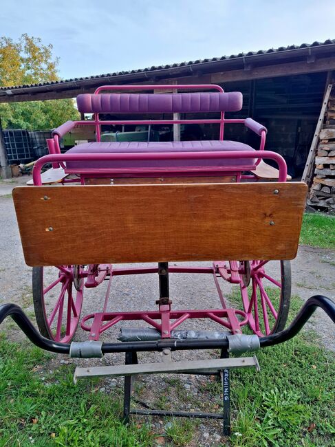 Verkaufe gepflegten großen Burger Gig Sulky Kutsche für Pferde, Burger, Urmeli Urmel, Carriages, Ostelsheim, Image 17