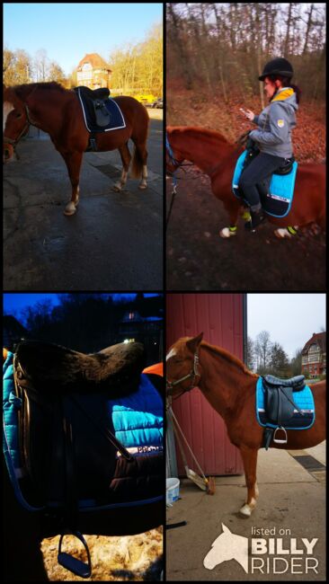 Verkaufe Wanderreitsattel, Massimo, Saskia , Endurance Saddle, Römhild , Image 5