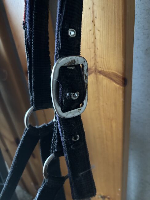 Verkaufe Sicherheitshalfter vb, Theresa Schmidt, Halters, Freiland bei Deutschlandsberg, Image 6