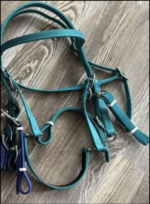 Teal and turquoise bio halter/bridle, Sabrina pinkham , Bridles & Headstalls, Radcliff , Image 2