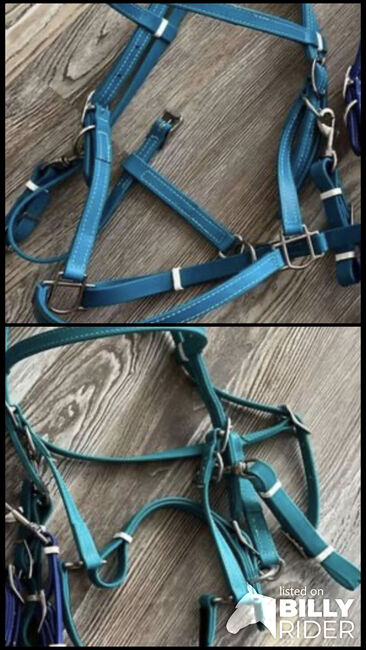 Teal and turquoise bio halter/bridle, Sabrina pinkham , Bridles & Headstalls, Radcliff , Image 3