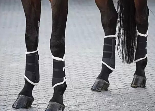 Teddyfleece-Dressurgamaschen, Vorder- und Hinterbeine (Warmblut), KaMo, Tendon Boots, Bückeburg Bückeburg, Image 4