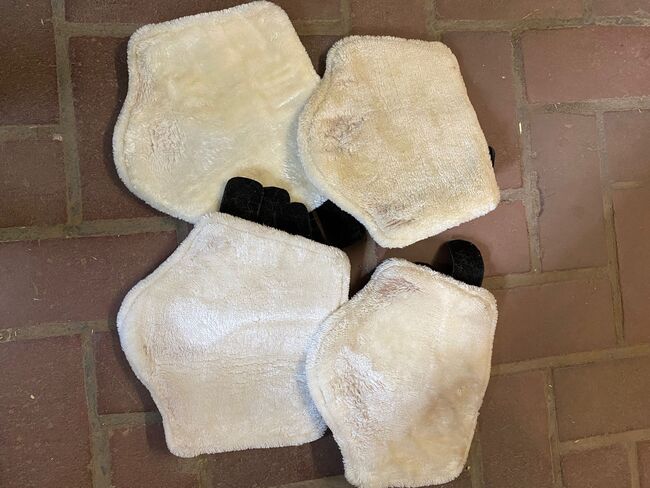 Teddyfleece-Dressurgamaschen, Vorder- und Hinterbeine (Warmblut), KaMo, Tendon Boots, Bückeburg Bückeburg, Image 2