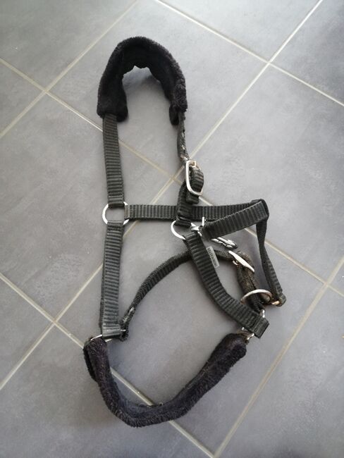 Teddyfleece Halfter, Anja , Halters, Waldenburg 