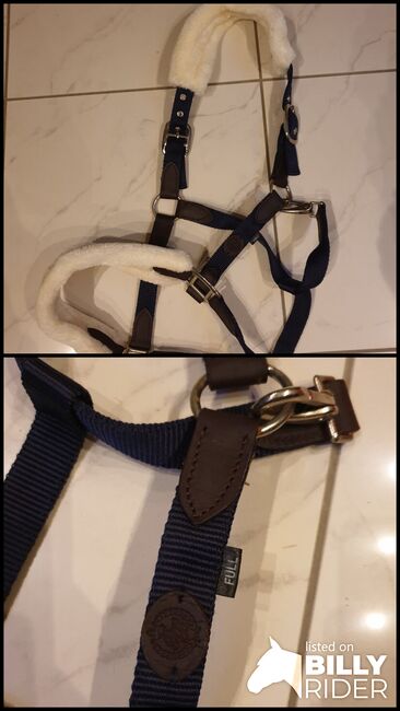 Teddyfleece Halfter von Felix Bühler, Felix Bühler Timeless Elegance , Jana, Kantary, Schramberg, Image 3