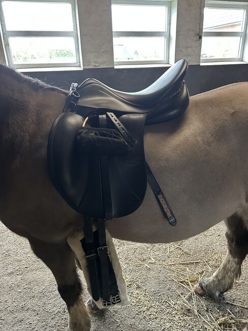 Tekna Dressursattel 15,5 A line, Tekna Tekna ALine, S.Petersen, Dressage Saddle, Osdorf 