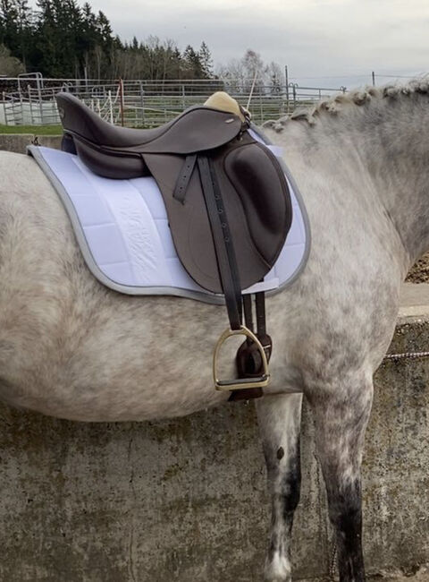 Tekna Dressursattel Braun, Tekna S line, Denise Schrodek, Dressage Saddle, Regen, Image 2