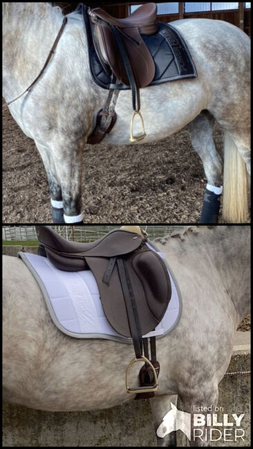 Tekna Dressursattel Braun, Tekna S line, Denise Schrodek, Dressage Saddle, Regen, Image 3