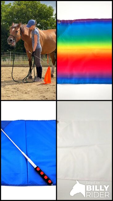 Teleskopische Trainingsfahnen für Horsemanship und Bodenarbeit, Maya (Swisshorseshop), Pomoce szkoleniowe , 8500 Frauenfeld, Image 6