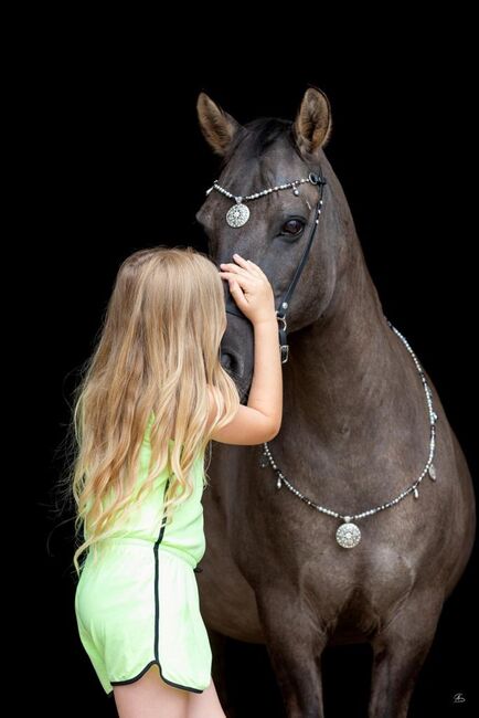 Therapie/ Gelände/ HippoliniPony, Kerstin , Konie na sprzedaż, Weil am Rhein, Image 3