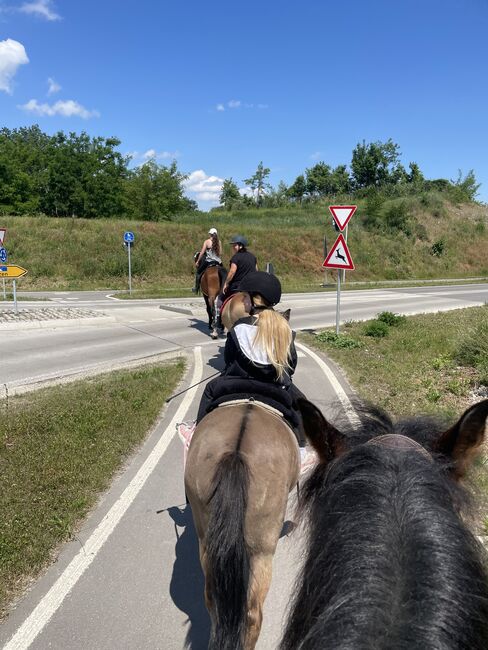 Therapie/ Gelände/ HippoliniPony, Kerstin , Konie na sprzedaż, Weil am Rhein, Image 6