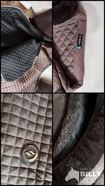 Back in Track Transport/Abschwitzdecke, Back on Track , Nadine, Horse Blankets, Sheets & Coolers, Heikendorf, Image 6