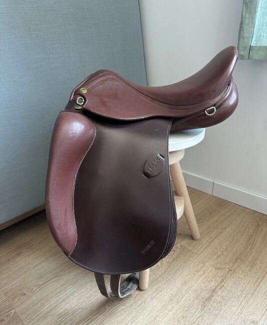 Testa Fagur Sattel Extraweit (wie Stübben, Sommer, Topreiter), TESTA Fagur Simp SW, Belja Wegener, Icelandic Saddle, Wolfenweiler