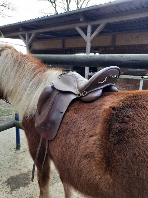 Testa Sattel, KW 34, 16,5 ", Testa Snug, Tatjana , Icelandic Saddle, Gelsenkirchen , Image 4