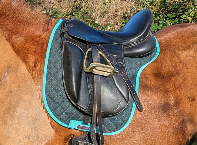 Testa Snug SW 17", Testa  Snug SW, Pauline Zoller , Dressage Saddle, Neu Wulmstorf , Image 5