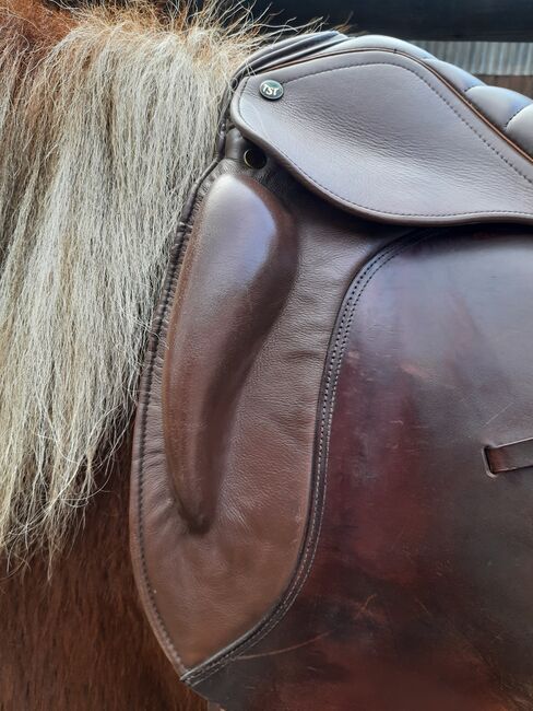 Testa Sattel, KW 34, 16,5 ", Testa Snug, Tatjana , Icelandic Saddle, Gelsenkirchen , Image 2