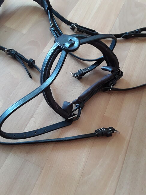 Zügel 2x Trensenzaum Trense Martingale Leder WB Full, Ellen, Bridles & Headstalls, Magdeburg, Image 4