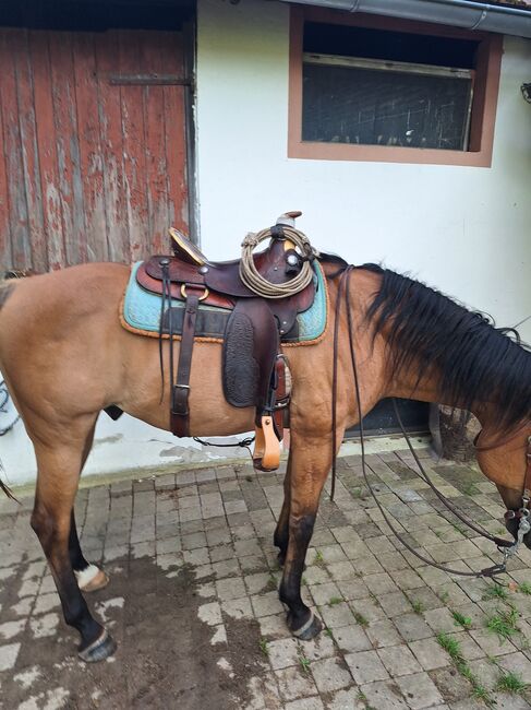 Tex Tan Sattel, Tex Tan German Oldtimer, Bernhard , Western Saddle, Neuried , Image 4