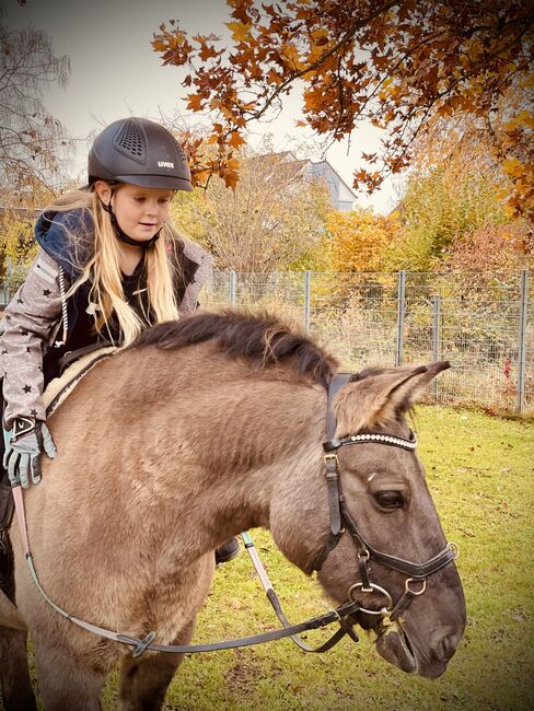 Therapie/ Gelände/ HippoliniPony, Kerstin , Horses For Sale, Weil am Rhein, Image 7