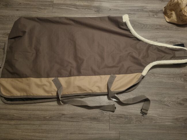Thermo Master, Thermo Master , Jennifer Fischer , Horse Blankets, Sheets & Coolers, Borkum, Image 2