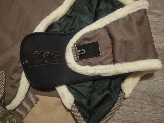 Thermo Master, Thermo Master , Jennifer Fischer , Horse Blankets, Sheets & Coolers, Borkum, Image 3