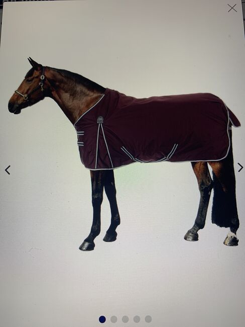 Thermo Master Outdoordecke Kadir, Thermo Master Outdoordecke Kadir 0g, Nadine , Horse Blankets, Sheets & Coolers, Ebensee