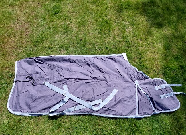 THERMO MASTER Stalldecke 50g grau Größe 165cm, THERMO MASTER, Nicole , Pferdedecken, Norderstedt, Abbildung 2