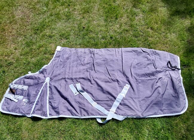 THERMO MASTER Stalldecke 50g grau Größe 165cm, THERMO MASTER, Nicole , Pferdedecken, Norderstedt