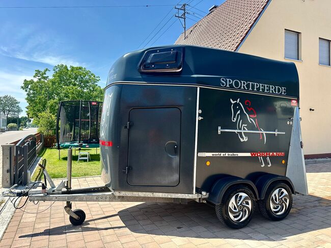 ❗️Thiel Gismo Aluboden Rampe/Tür Pferdeanhänger Pferdehänger, Thiel  Gismo, Fuchs Daniel, Ellgau - Pferdeanhänger seit 2016  (Nutzfahrzeughandel und Vermietung Daniel Fuchs ), Horse Trailers, Ellgau , Image 10