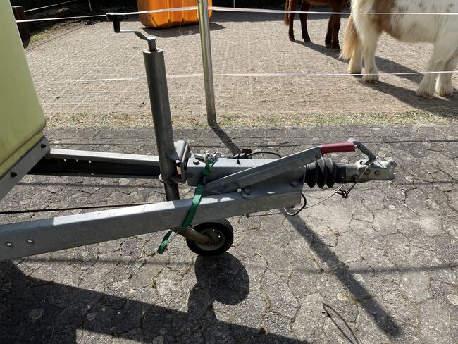 THIEL Pferdehänger, Thiel Racer, Manuela Staubach , Horse Trailers, Schlüchtern , Image 3