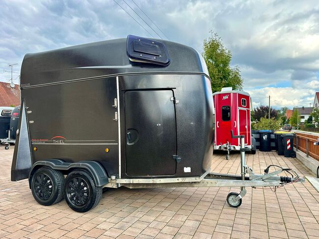 ❗️ Thiel Sinus Vollpoly ALUBODEN Pferdeanhänger Pferdehänger, Thiel Sinus, Fuchs Daniel, Ellgau - Pferdeanhänger seit 2016  (Nutzfahrzeughandel und Vermietung Daniel Fuchs ), Horse Trailers, Ellgau , Image 7