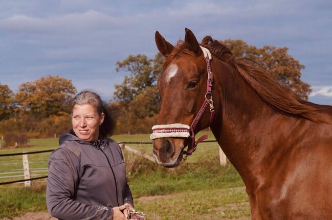 Familiengeeignete Vollblutstute, Katharina Lehmann (Pferdevermittlung Leus), Horses For Sale, Zarrentin, Image 3