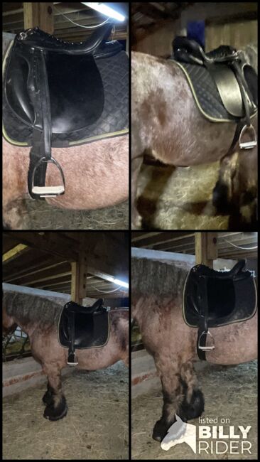 Kaltblut Sattel, Sattel, Christina Münch, Dressage Saddle, Waldsolms , Image 6