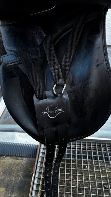 Thorowgood T8 Dressursattel 17,5“ schwarz Fishsystem, Thorowgood T8, Mareike, Dressage Saddle, Lügde, Image 9