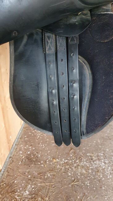 Thorowgood VS Sattel, Thorowgood Griffin, Privat, All Purpose Saddle, Nagel, Image 5