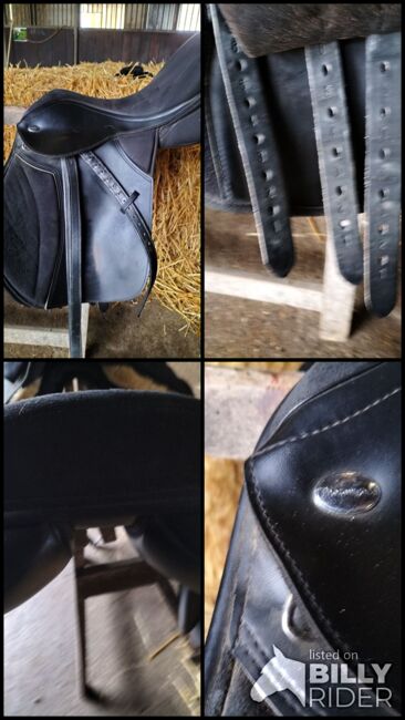 Thorwowgood Sattel 17,5 Zoll hoher Widerrist, Thorowgood, Andrea, All Purpose Saddle, Engelbrechtsche Wildnis, Image 6