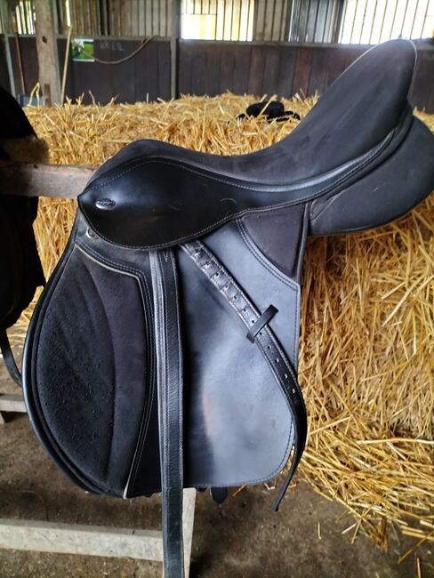 Thorwowgood Sattel 17,5 Zoll hoher Widerrist, Thorowgood, Andrea, All Purpose Saddle, Engelbrechtsche Wildnis