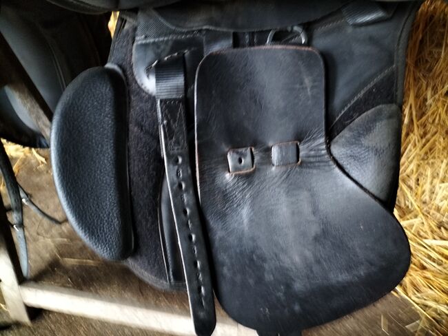 Thorwowgood Sattel 17,5 Zoll hoher Widerrist, Thorowgood, Andrea, All Purpose Saddle, Engelbrechtsche Wildnis, Image 3